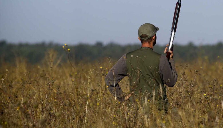 Chasse